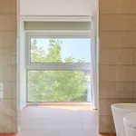 Villa Casa De Dentro - Heritage & Serenity Retreat Felgueiras